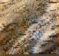 Ballina Palms Boutique Motel - Accommodation Brisbane