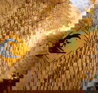 Britannia on William - Hostel - Accommodation Brisbane