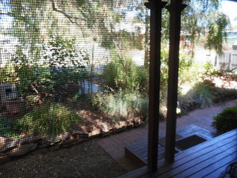 Rosebank Bed & Breakfast - Accommodation Brisbane 6