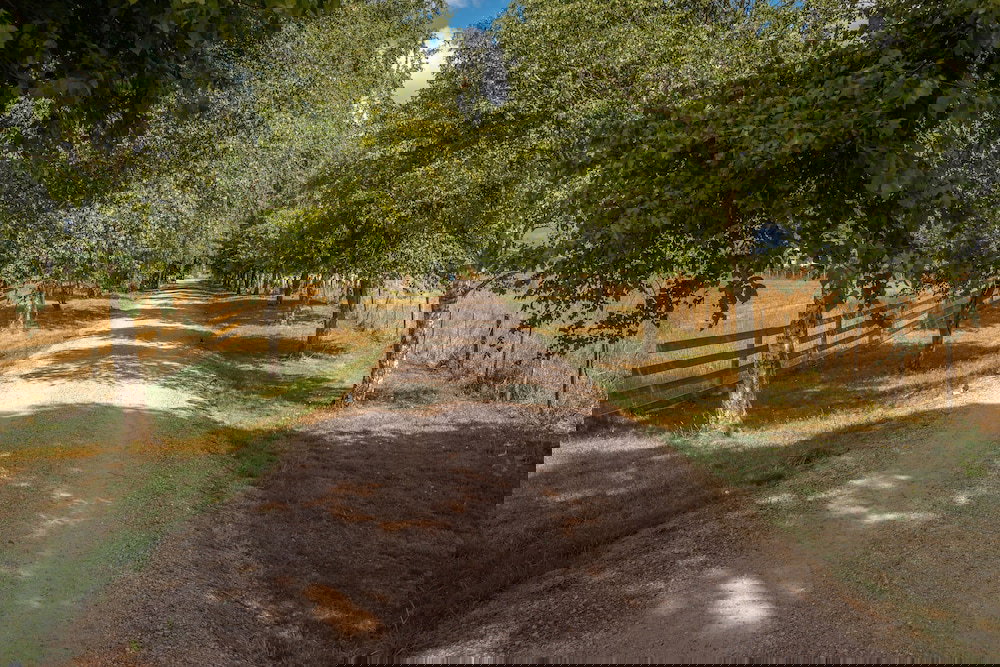 Barrington TAS Accommodation Brisbane