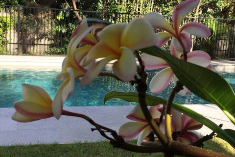 Arabella Garden Inn Motel - Accommodation Brisbane 2