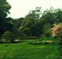 Birdwing Bed  Breakfast Weegena - Accommodation Brisbane