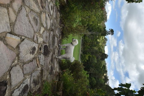 Coverdales B & B At Eumundi - Accommodation Brisbane 0