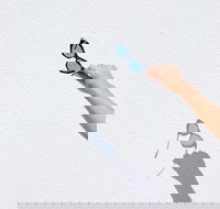 The Sails Motel Brunswick Heads - Accommodation Brisbane