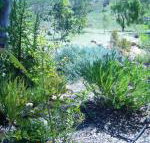 Old Miners Cottages Bed  Breakfast - Accommodation Brisbane