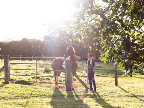 Bridle Guesthouse - Accommodation Brisbane 6