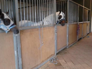 Cabarita Lodge - Accommodation Brisbane 1