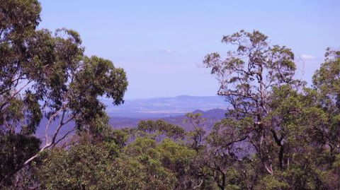 Ravensbourne Escape Cedar Lodge - Accommodation Brisbane 5