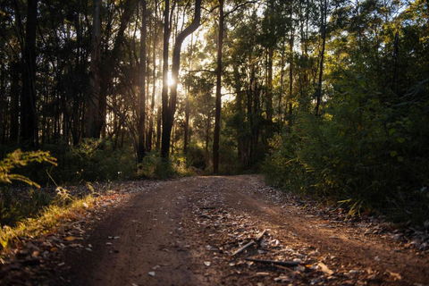 Mudstone Spa Retreat - Accommodation Brisbane 5