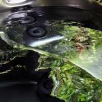 Mudstone Spa Retreat - Accommodation Brisbane 1