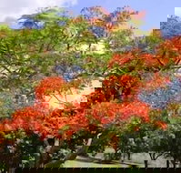 Eastwood Farm - Accommodation Brisbane