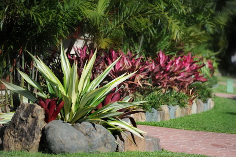BIG4 Adventure Whitsunday Resort - Accommodation Brisbane 5