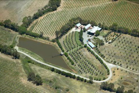 Patly Hill Farm - Accommodation Brisbane 1