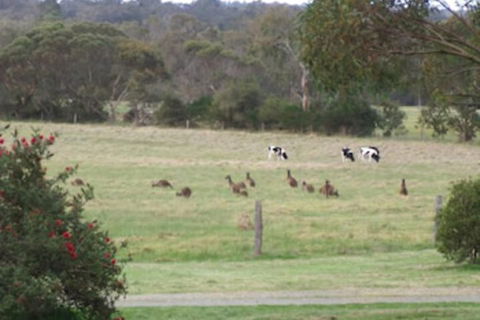Woody Grange Chalets - Accommodation Brisbane 6