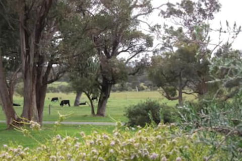 Woody Grange Chalets - Accommodation Brisbane 3