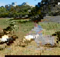 Country Cottages of Bridgetown - Accommodation Brisbane