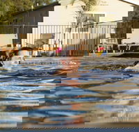 Riverside Cabin Park - Accommodation Brisbane