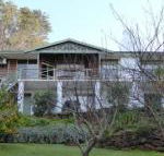 Sea Banksia - Accommodation Brisbane