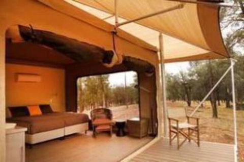 Ikara Safari Camp - Accommodation Brisbane 4