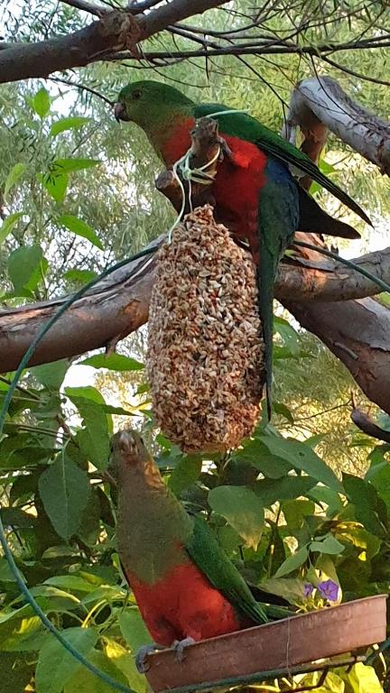 Astley Cottage - Accommodation Brisbane 1