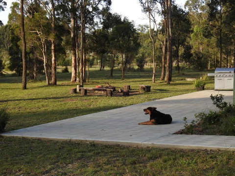 Wallaby Cottage Cute Accom In Bushland Setting - Accommodation Brisbane 3