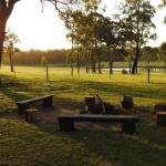 Wallaby Cottage Cute Accom In Bushland Setting - Accommodation Brisbane 0