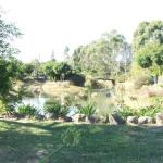 Still Waters - Accommodation Brisbane 0