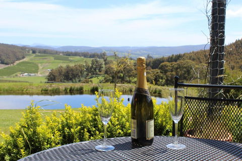 Cherryview Cygnet - Accommodation Brisbane 5