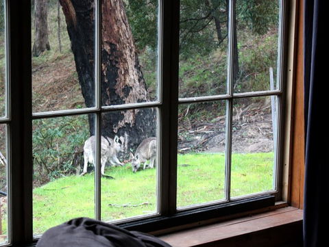 La Boheme Villa - Accommodation Brisbane 6