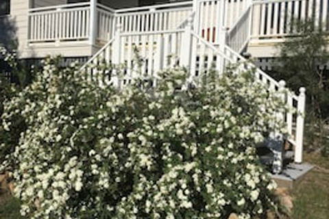 Glen Aplin Gardens B&B - Accommodation Brisbane 0