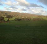 Mancuso Country Cottage Retreat - Accommodation Brisbane