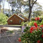 11 Barkala St. Dalmeny - Accommodation Brisbane 0