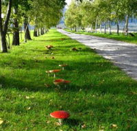 Plovers Ridge Country Retreat - Accommodation Brisbane