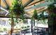 Baritalia - thumb 5