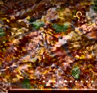 Pizza D'oh - Accommodation Brisbane