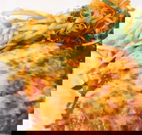 The Water Rat Hotel - Accommodation Brisbane