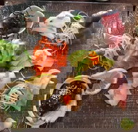 Toshi's Japanese Restaurant - Accommodation Brisbane