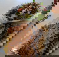 Bite Me Grill  Burger Bar - Accommodation Brisbane