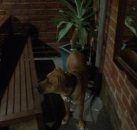 Biff's Bar and Grill - Accommodation Brisbane