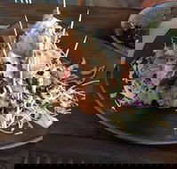 A Red Dot - Accommodation Brisbane