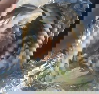 Kebab Oasis - Accommodation Brisbane