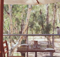 Morrisons Winery  Restaurant - Accommodation Brisbane