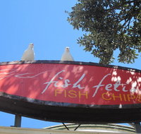 Fish Fetish - Accommodation Brisbane