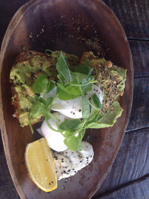 Samson & Sophie Cafe - Accommodation Brisbane 3