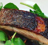 The Shaggy Cow - Accommodation Brisbane