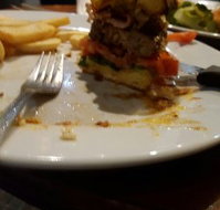 Alpine Retreat Hotel - Accommodation Brisbane