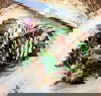 Frank and Connie's Kitchen