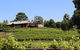 Djinta Djinta Winery - thumb 0