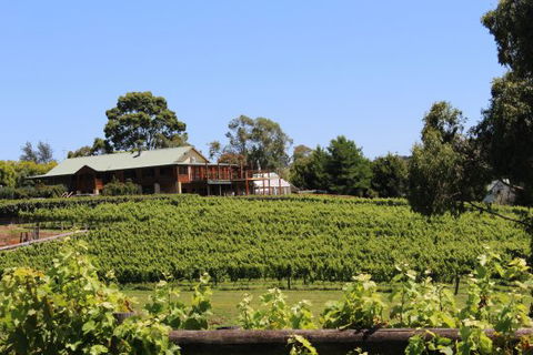 Djinta Djinta Winery - Accommodation Brisbane 0
