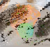 Rays Place - Accommodation Brisbane